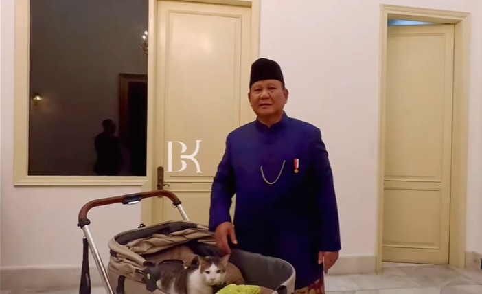 Gemes! Momen Lucu Bobby Kertanegara, Kucing Prabowo, Saat Diboyong ke Istana